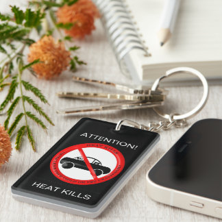 Conseils de sécurité pour bébé Porte - clé acryliq