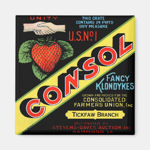 Consol Extravagant Klondykes Strawberries Magnet