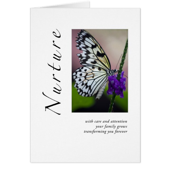 Consolidez la famille de papillon (Devant)