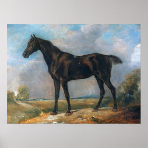 Constable - Golding's Black Riding-Horse Poster