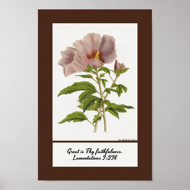 Constans Hibiscus Inspiration Poster Imprimer (Devant)