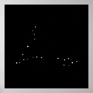 Constellation Pisces von Leslie-Paprikaschoten Poster