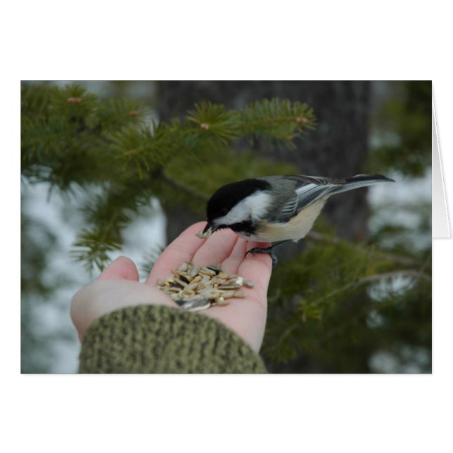 Contact (Devant horizontal)