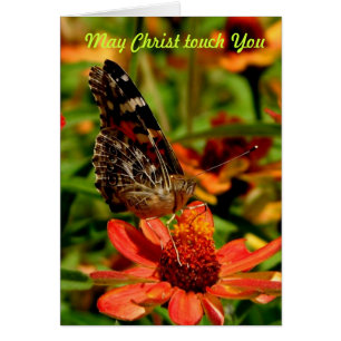 Contact de mai le Christ vous