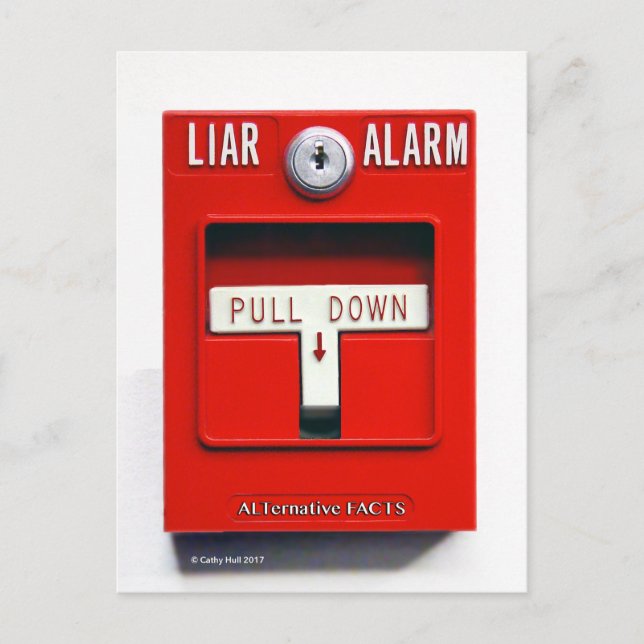 Contact Donald J. Trump Fire Trump Carte postale (Devant)