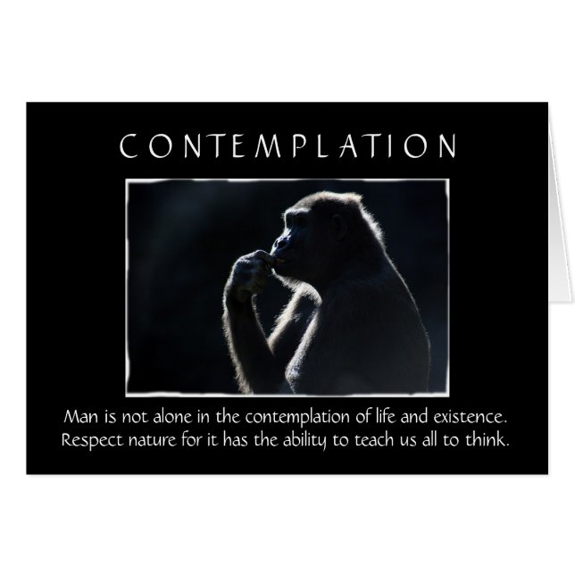 Contemplation (Devant horizontal)