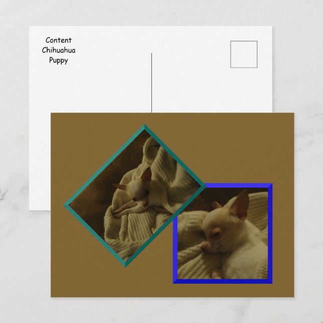 Content Chihuahua-Welppy-Postkarte Postkarte (Vorne/Hinten)