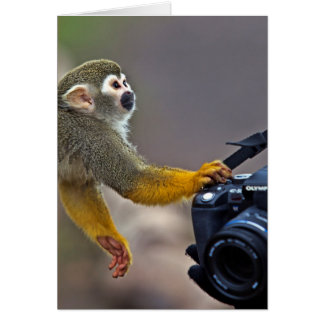 Continuez ! laissez-moi prendre le tir