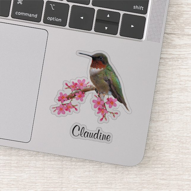 Contour Fleurs roses et Stickers Vinyle Colibris (Détail)