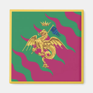 Contrada del Drago (Drache) Palio di Siena Magnet