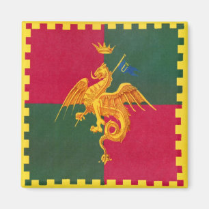 Contrada del Drago (Drache) Palio di Siena Magnet