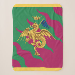 Contrada del Drago (Drache) Palio di Siena Sherpadecke