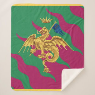 Contrada del Drago (Drache) Palio di Siena Sherpadecke