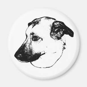 Contraste net, aimant chien