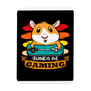 Controller-Guinea Pig_Schweinehaltungsanlage Magnet