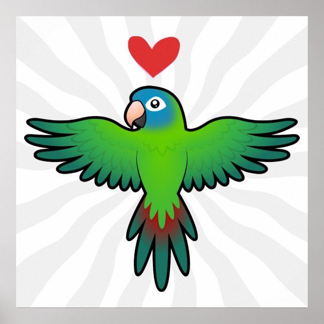 Conure / Lorikeet / Parrot Liebe Poster (Vorne)