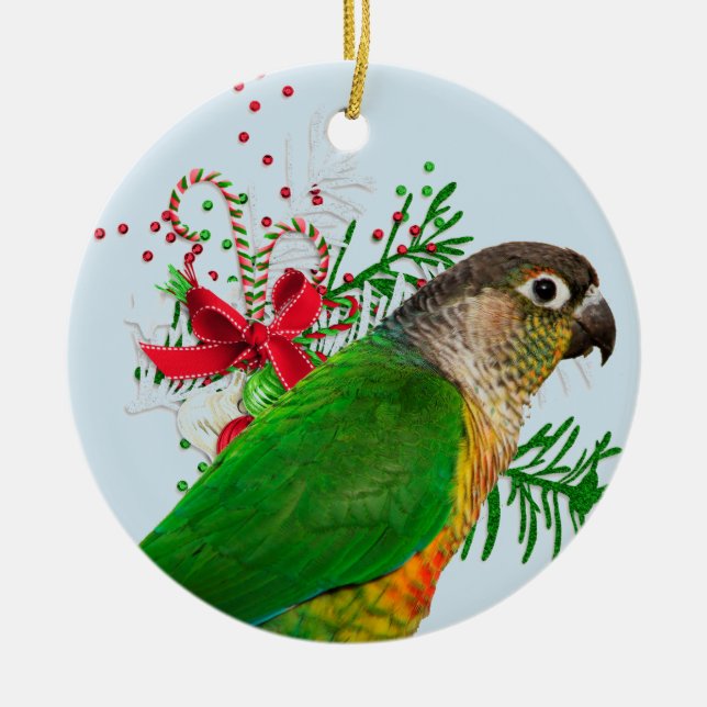 Conure wärmt die Feiertage Keramik Ornament (Vorne)