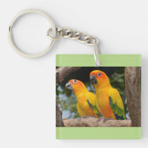 Conures Schlüsselkette Schlüsselanhänger