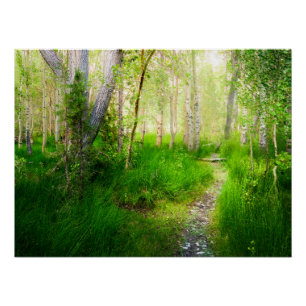 Convict Lake Aspen Meadow Wandkunst Naturdruck Poster