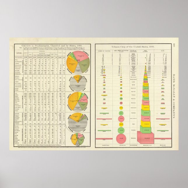 Convicts in Penitentiaries by State Poster (Vorne)