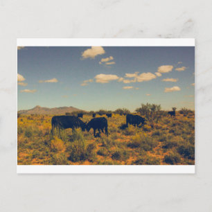 Cookes Peak Postcard 07 Postkarte