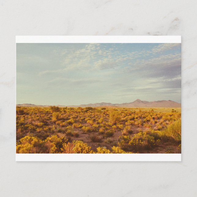 Cookes Peak Postcard 14 Postkarte (Vorderseite)