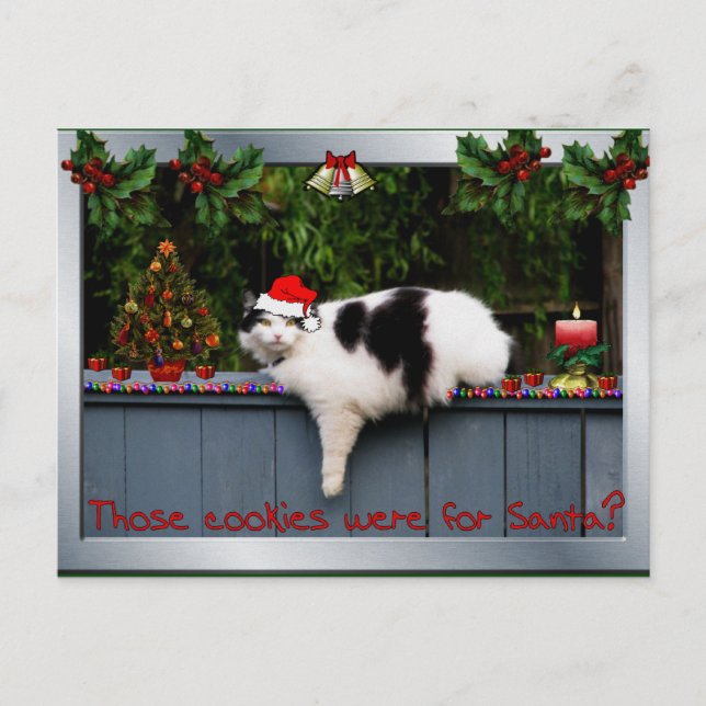 Cookie Love Cat Postkarte (Vorderseite)