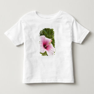 Cookinseln, Atiu. Blume des Hibiskus. Kleinkind T-shirt