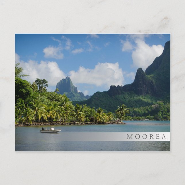 Cook's Bay, Moorea, Französisch-Polynesien Postkarte (Vorderseite)