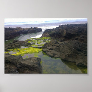 Cook's Chasm, Cape Perpetua, OR Poster