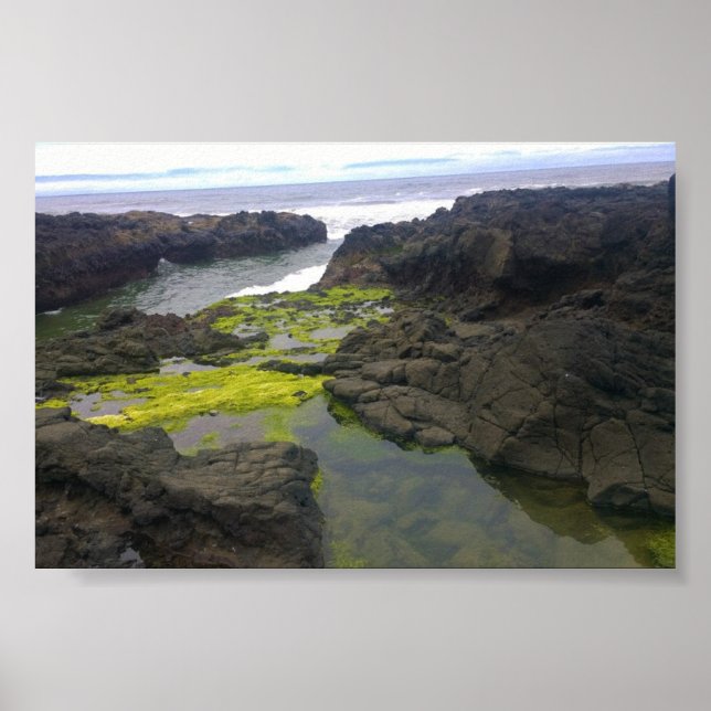 Cook's Chasm, Cape Perpetua, OR Poster (Vorne)