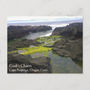 Cook's Chasm, Cape Perpetua, Oregon Postkarte