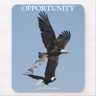 Cool Bald Eagle Wildlife Collection Mousepad