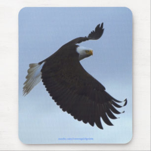 Cool Bald Eagle Wildlife Collection Mousepad