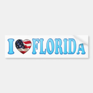 Cool Blue I heart Florida - Autoaufkleber
