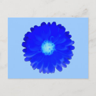 Cool Blue Marigold Postcard Postkarte