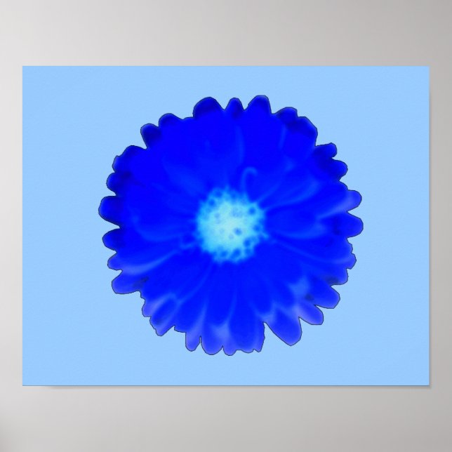 Cool Blue Marigold Poster (Vorne)