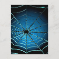 Cool Blue Spider Web