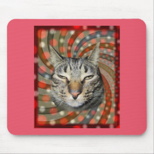 Cool Cat – DU UNTERTITELST Dein Geschenk! Mousepad
