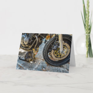Cool chat moto drôle de carte de voeux