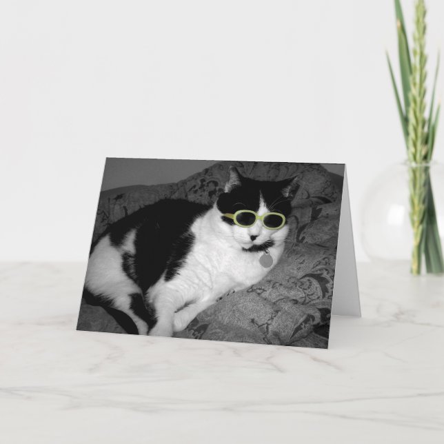 Cool Chat w Lunettes de soleil carte d'anniversair (Devant)