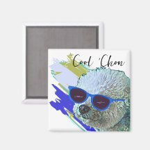 Cool "Chon the Bichon
