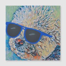Cool 'Chon the Bichon Magnet flexible