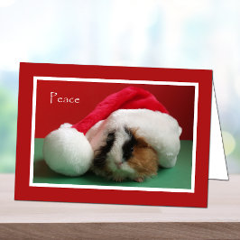 Cool Christmas Guinea Pig Card Feiertagskarte