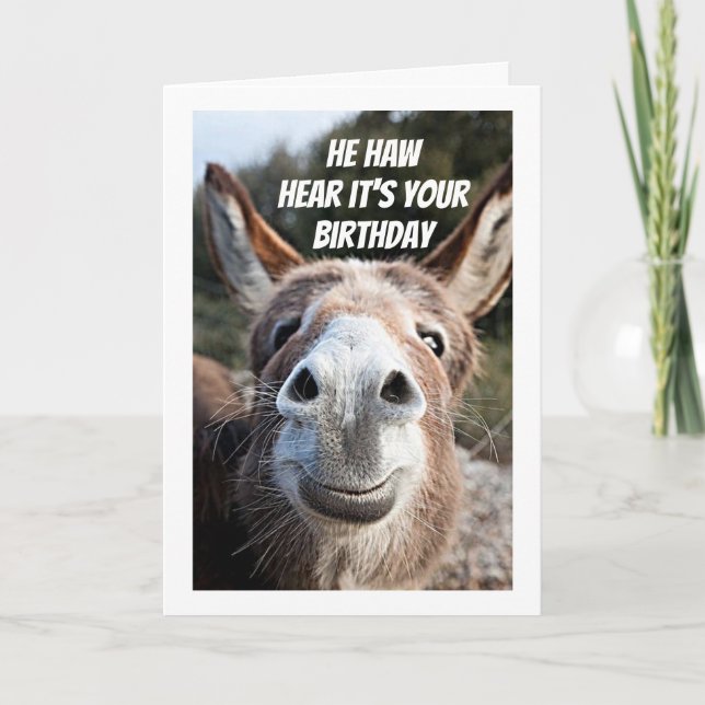 **COOL DONKEY DIT "HEUREUX ANNIVERSAIRE" CARTE DE  (Devant)