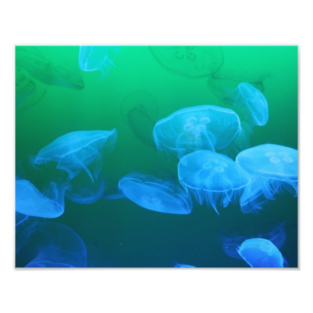 Cool Jellyfish Green Blue Gradient Fotodruck (Vorne)