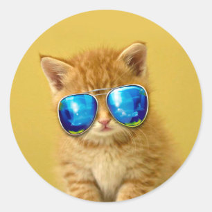 Cool Kitten in Sonnenbrille Runder Aufkleber