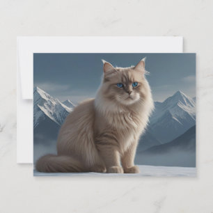 Cool Kitty Postkarte