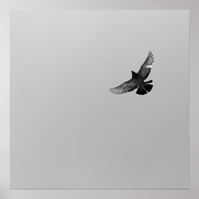Cool Modernes B&W fliegender Vogel, einfach modern Poster (Vorne)