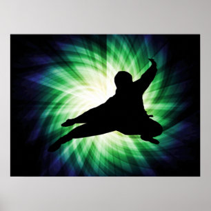 Cool Ninja Poster